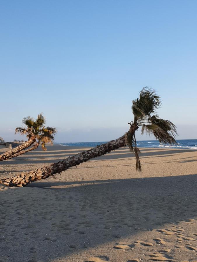 Reve Mediterraneen, La Vie De Chateau Le Barcarès المظهر الخارجي الصورة